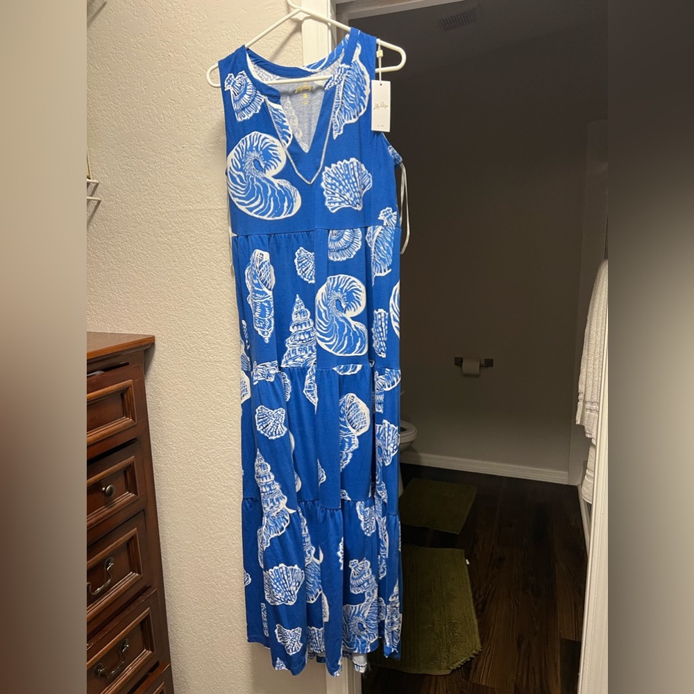 Sydnee Maxi dress NWT 🐚